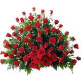 Garden Of Red Roses