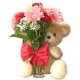 6 Gerberas with 6 inches Teddy