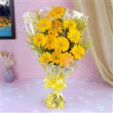 12 Yellow Gerberas Bunch