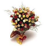 Send 40 Muliticolored Roses Bouquet to Mumbai