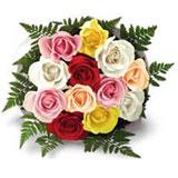 Send 12 Multicolour Roses to all destinations in India