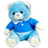 Send Teddy-1 to Mumbai