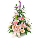 Send All for You to Hyderabad