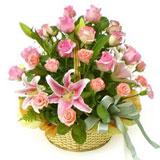 Send Blooming Bud to all destinations in India
