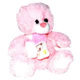 Send Teddy 6 inch to India