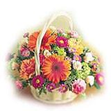 Send Fresh Surprise to India Send Fresh Surprise to India