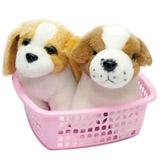 Puppy Delight to India