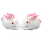 Send Cute Pair of Bunnies to Mumbai