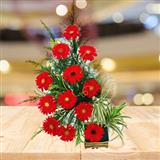 12 Red Gerbera Basket