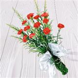 12 Red Carnation Bunch