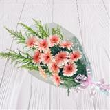 12 Peach Gerbera Bunch