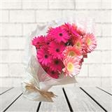 20 pink & peach gerbera bunch