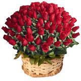 100 Red Roses in a Basket to India