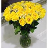 Send Glorious Yellow to Usa