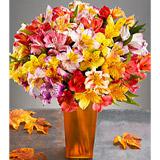 Send Peruvian Lilies to Usa