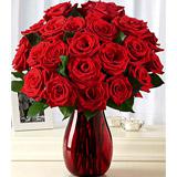 Send Two Dozen Red Roses to Usa