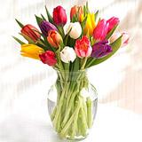 Send Tulip Rainbow to Usa