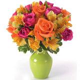 Send Sunny Day to Usa