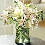 Send White Allaround to Usa