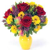 Send Country Sunshine to Usa