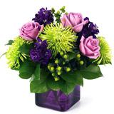 Send Purple Bunch to Usa