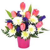 Send Colors All around to Usa