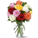 Send 1 Dozen Medium Stem Mixed Roses to Usa