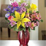 Send Springtime Surprise to Usa