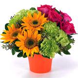 Send Sweetest Honey to Usa