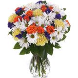 Send Daisy Delight to Usa