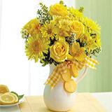 Send Make Lemonade in a Pitcher to Usa