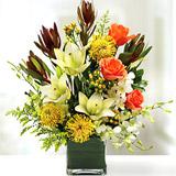 Send Tropical Paradise to Usa