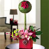 Send Topiary Treasure to Usa