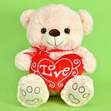 Send Live the Moment Teddy  to all destinations in India
