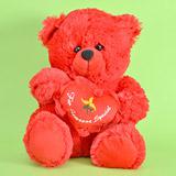 Send Cushy Teddy to all destinations in India