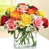 Send Modern Roses - One Dozen Assorted to Usa