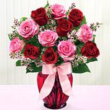 Send Shades of Pink and Red™ to Usa