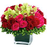 Send Budding Romance™ to Usa