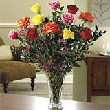 Send Magnificent Mixed Dozen Roses to Usa