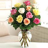 Send Rose Elegance™ Premium Long Stem Assorted Roses to Usa
