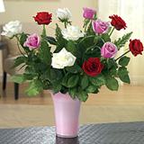 Send Rosy Bunch to Usa