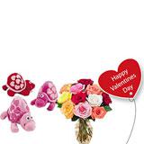 Send Rainbow roses and Sweet Plush Turtle. to Usa