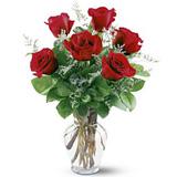 Send Half Dozen Red Roses to Usa