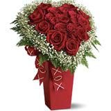 Send Heart and Soul to Usa