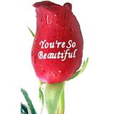 Send You Are So Beautiful to Usa