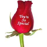Send You Are So Special to Usa