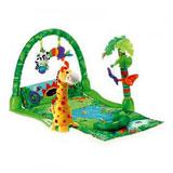 Send Fisher Price Rainforest  to all destinations in India