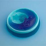 Star and Moon Soap 