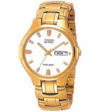 Citizen  Dress 17