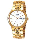 Citizen  Dress 13